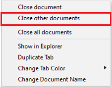 Document Tabs 3